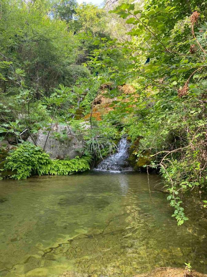 Holiday Home Pavle Rijeka Crnojevića Dış mekan fotoğraf